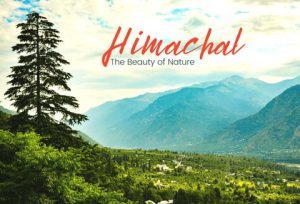 Best tour packages and taxi booking | Maa Pitambara Taxi Service